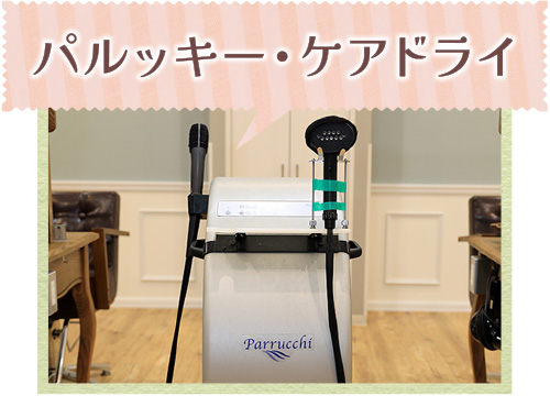 パルッキー・ケアドライ